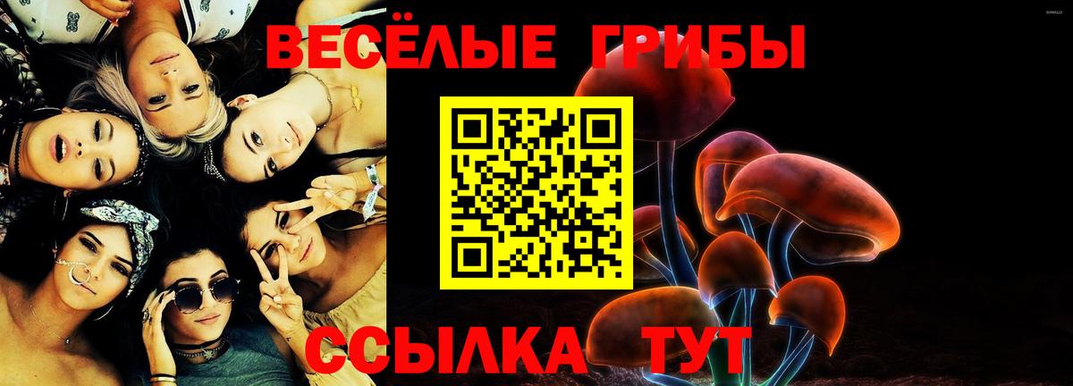 Псилоцибиновые грибы ЛСД Алексеевка