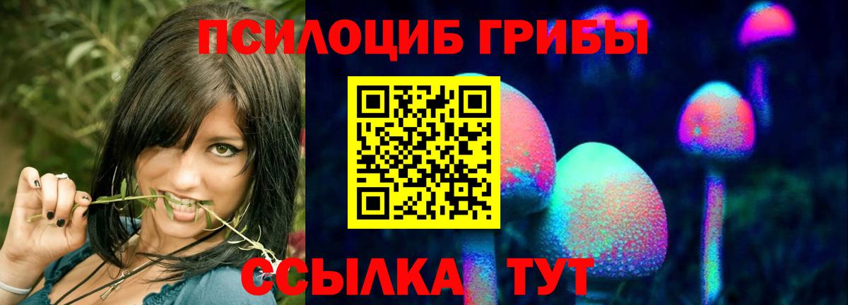 Алексеевка  где можно купить наркотик  Вход с VPN  Псилоцибиновые грибы MAGIC MUSHROOMS 